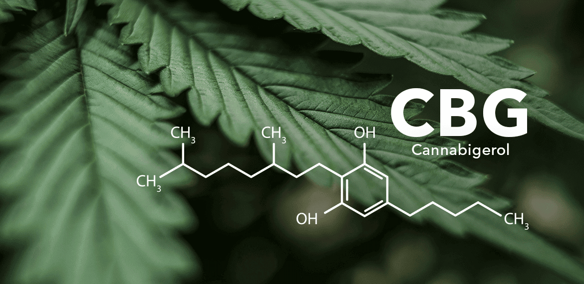 The word cbg on a green hemp leaf, along with its chemical structure overlaid.