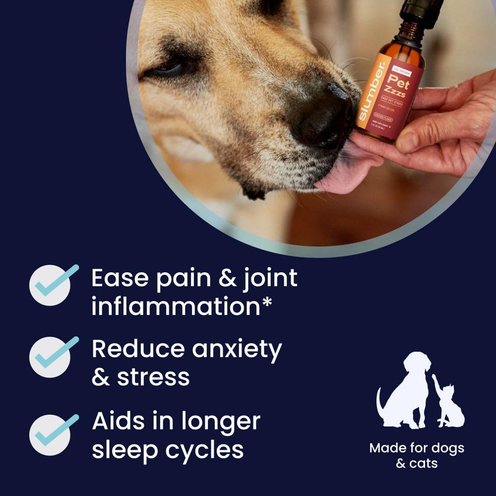 Best medicine for dog anxiety best sale