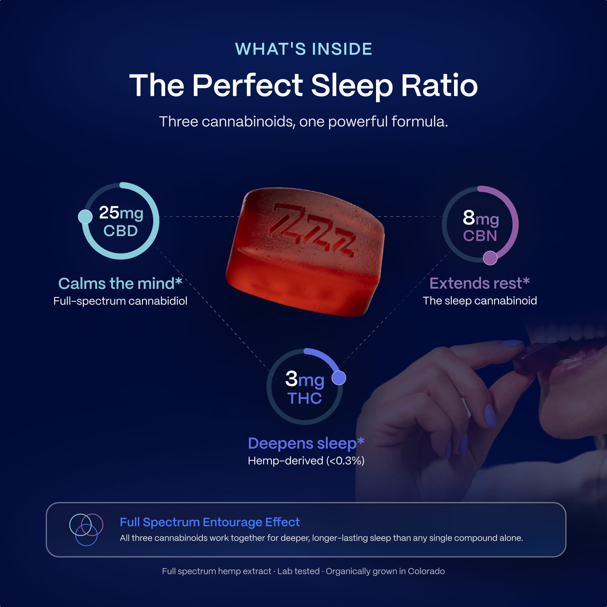 Deep Zzzs CBD CBN THC Gummies For Sleep