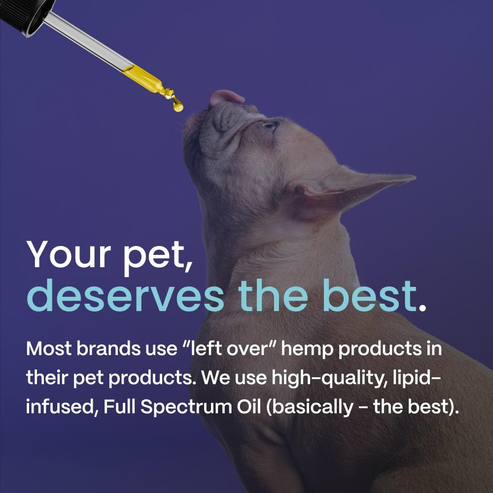 A dropper dispensing 'Slumber Full Spectrum Pet Oil' above a dog looking up, with text stating 'Your pet, deserves the best' and a message about the product's high-quality, lipid-infused, full spectrum oil.